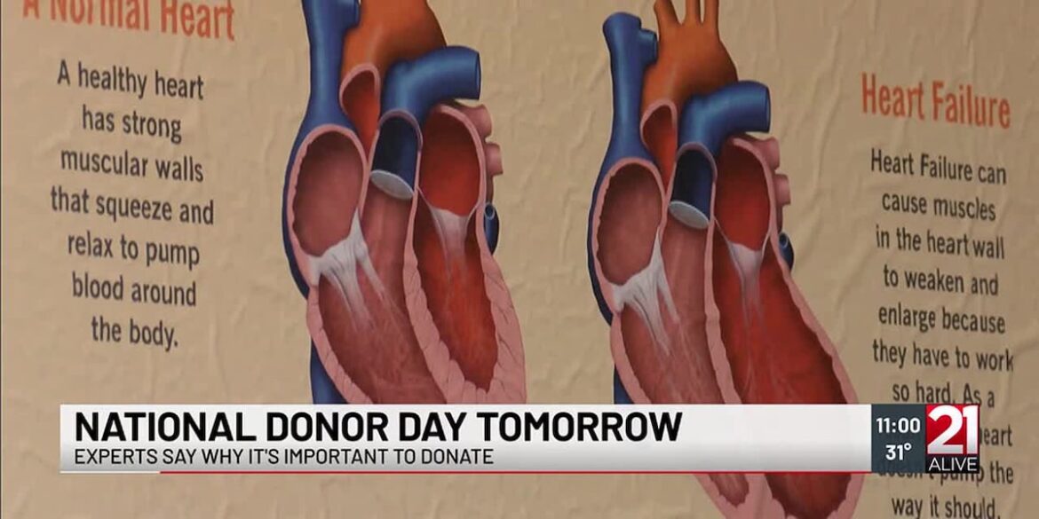 Hh35tzq435cavcsaxnzkiyavze