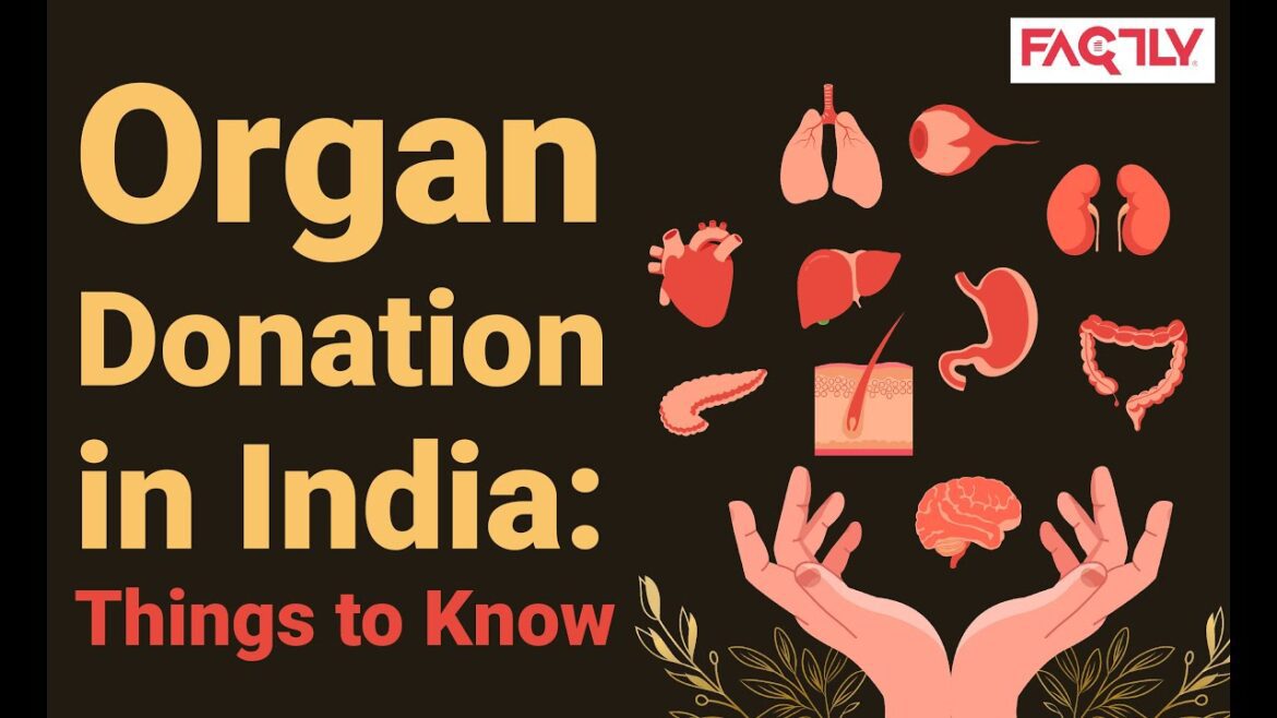 Organ Donation In India: Things To Know