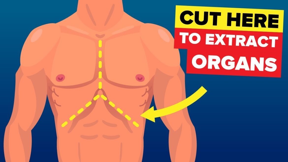 This Is What Happens When You Donate Your Organs
