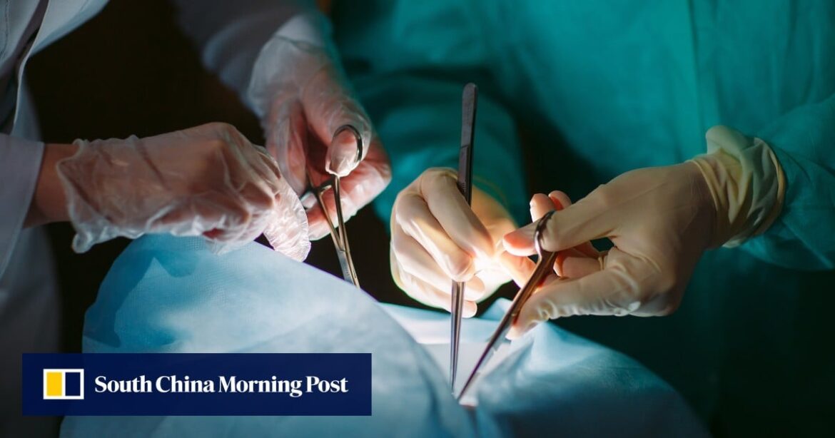 Chinese Patient Receives World's First Gene Edited Pig Liver Transplant