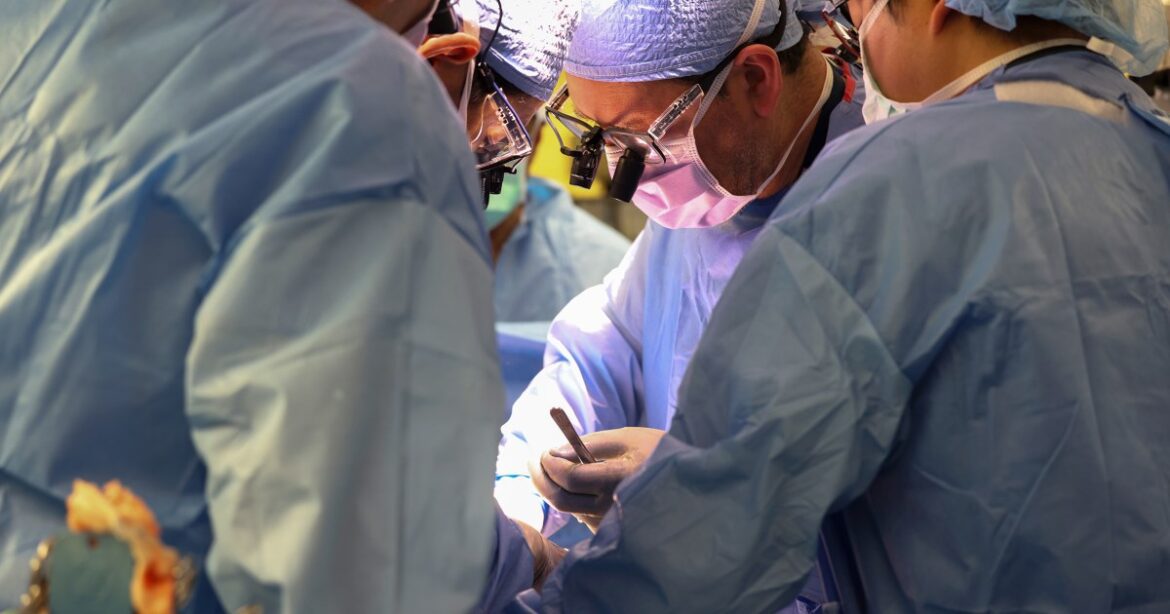First Pig Kidney Transplanted To Man