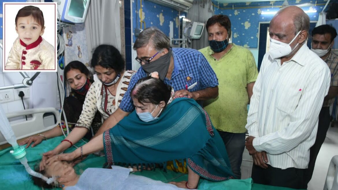 Organ Donation | Heart, Lungs, Kidney And Liver Donation From