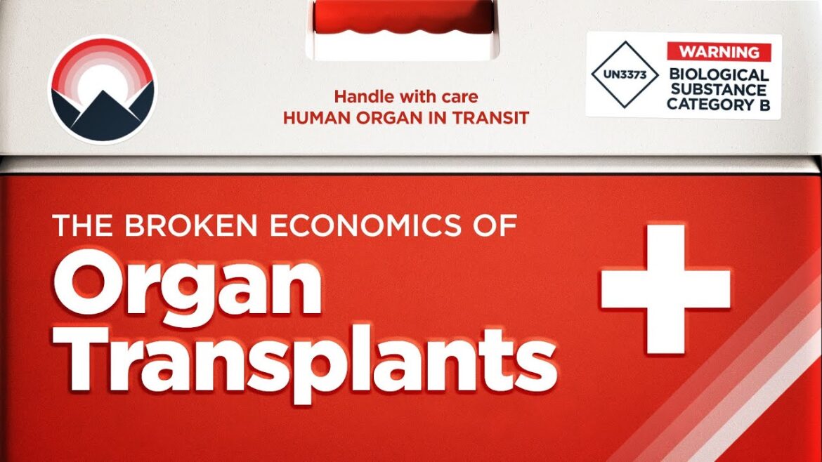 The Broken Economics Of Organ Transplants