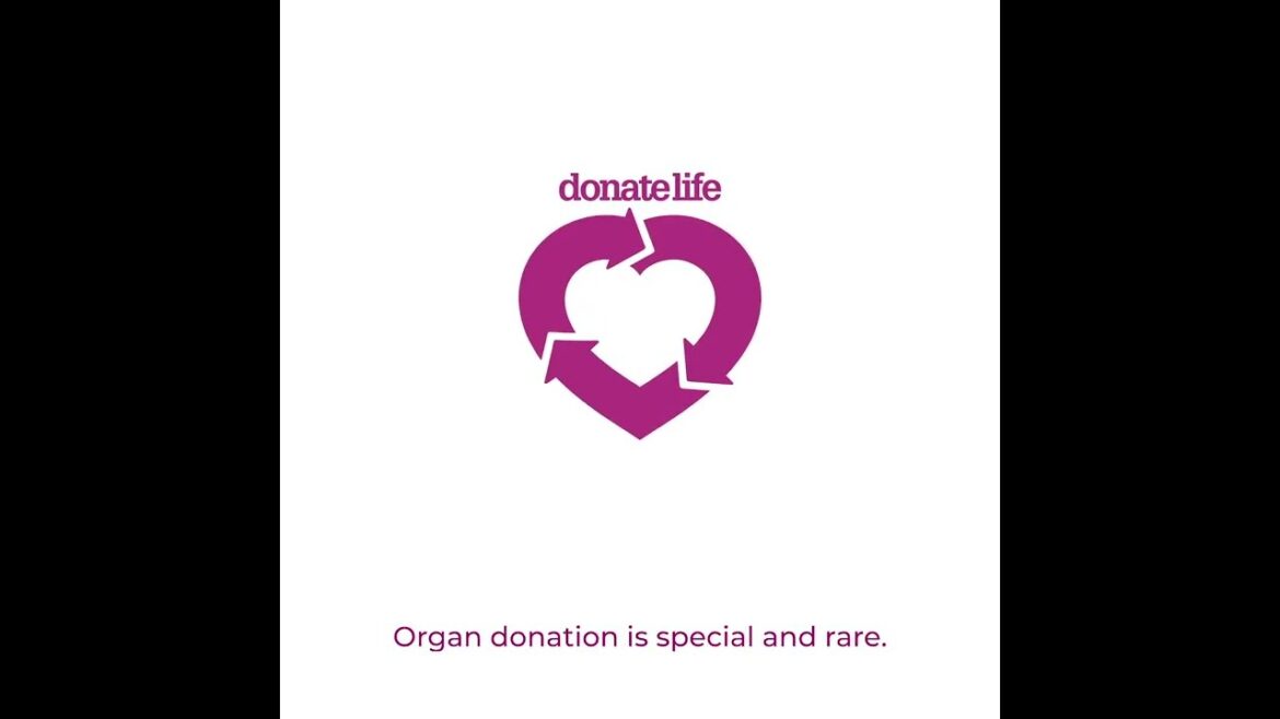 The Organ Donation Process In Australia