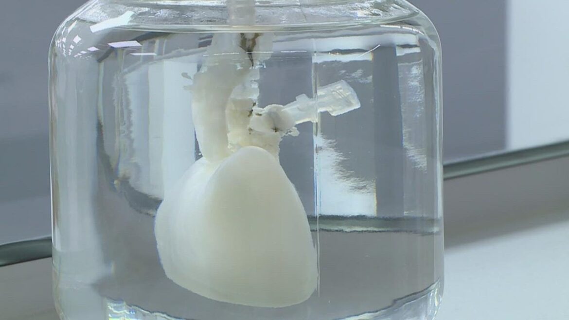 Has This Company Solved The Organ Transplant Supply Problem?