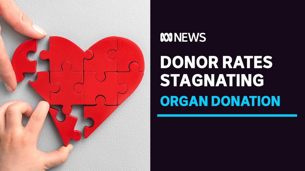 A National Register Was Supposed To Boost Organ Donation Rates,