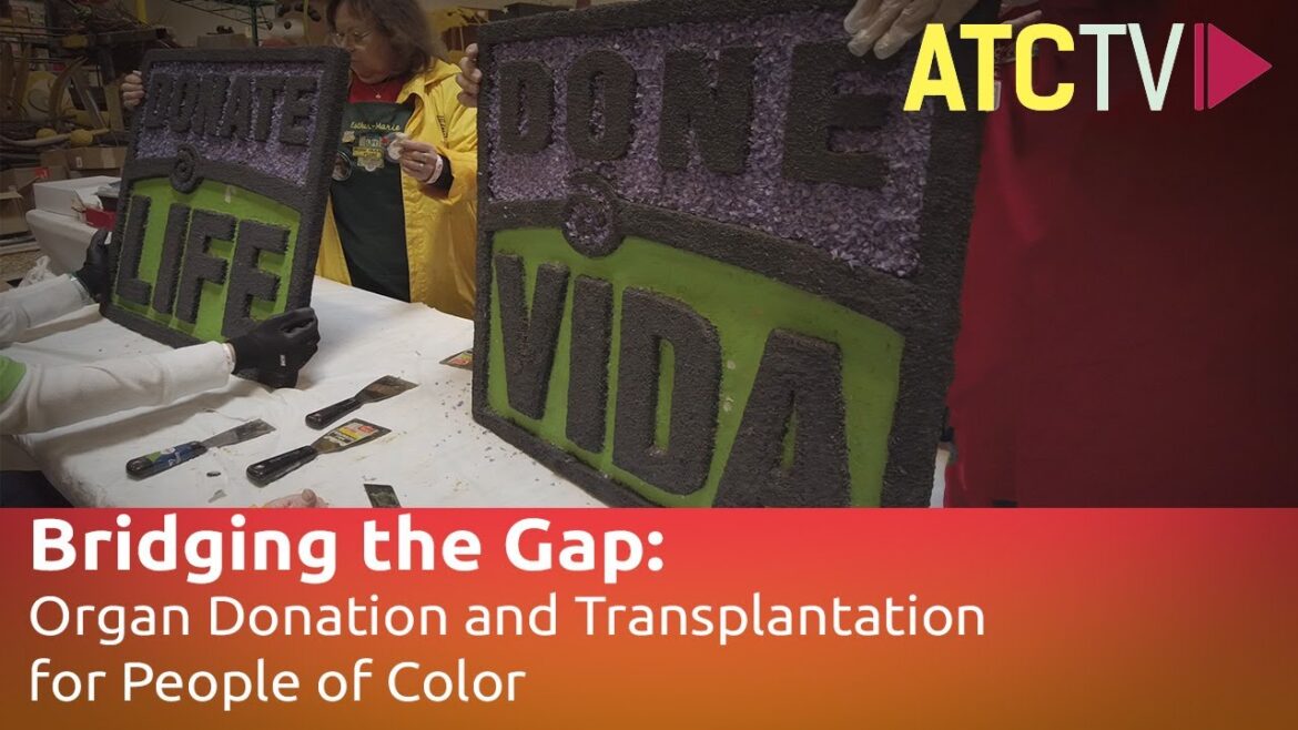 Bridging The Gap: Organ Donation And Transplantation For People Of