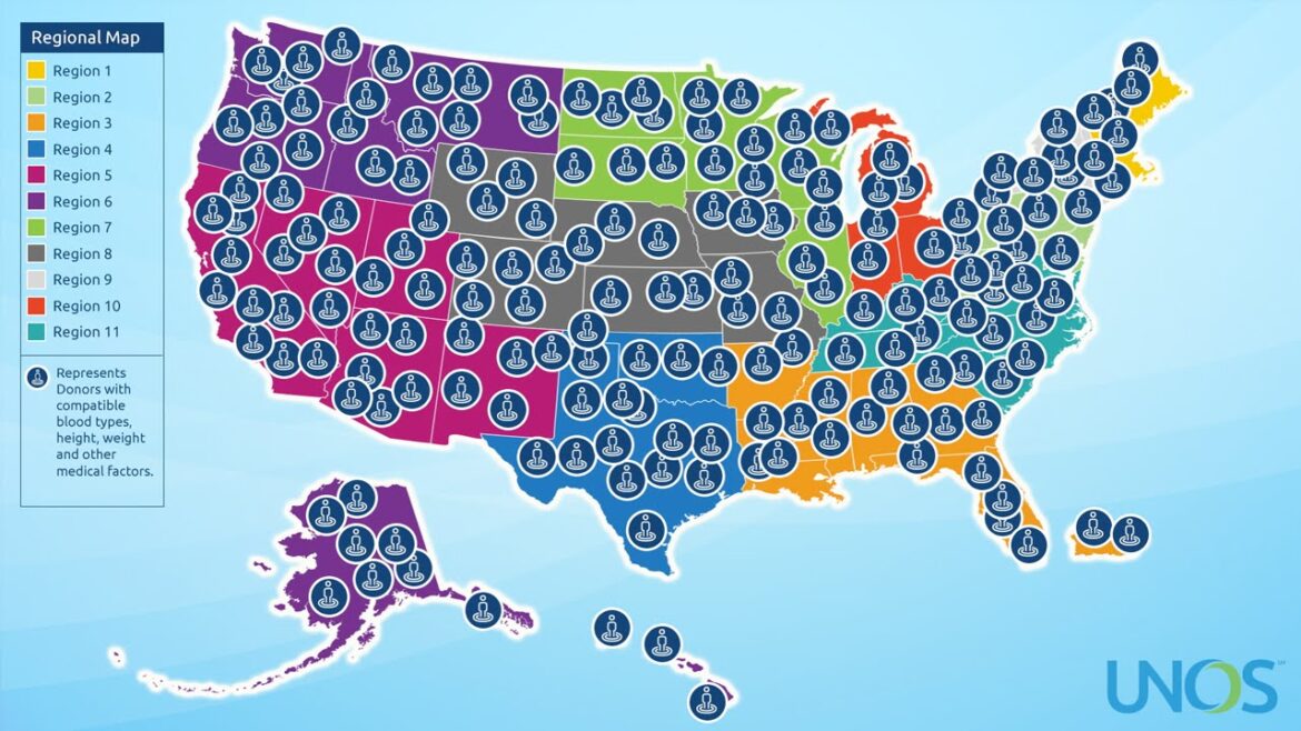 How The National Organ Transplant Waiting List Works