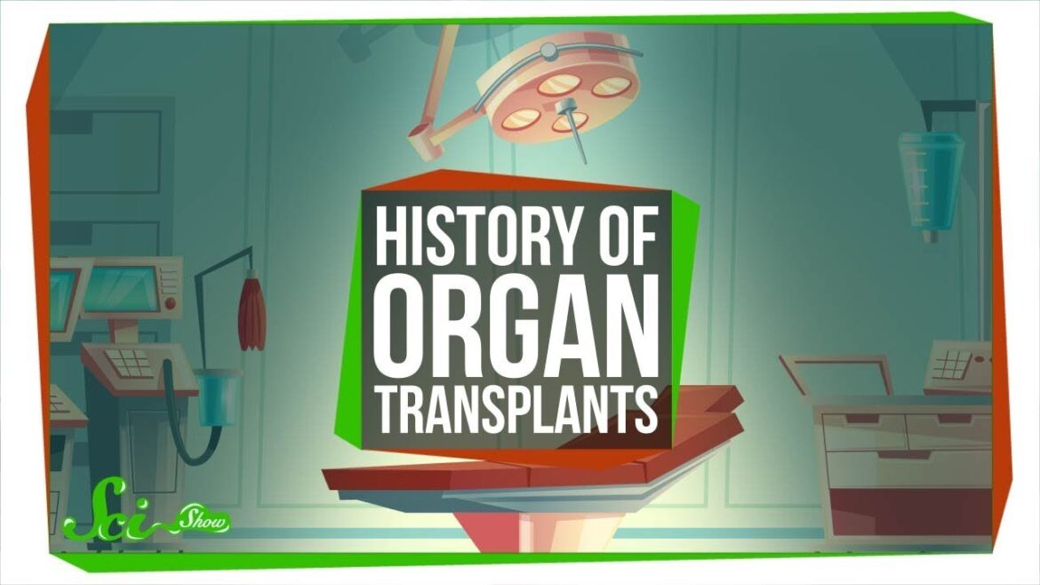 The Messy Path To The First Successful Organ Transplants