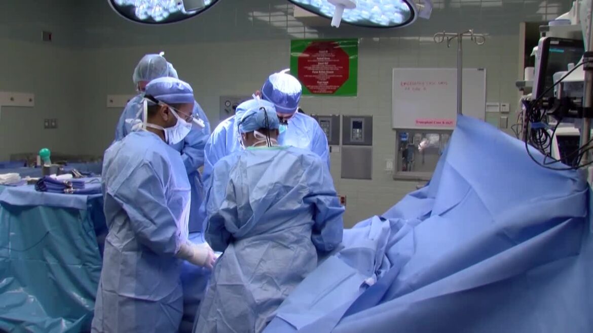 Dr. Egan Donates Liver In Mayo Clinic's First Paired Chain