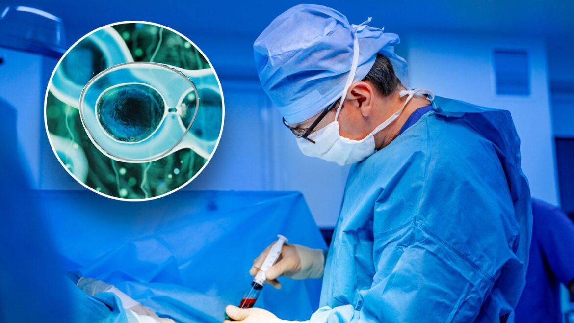 Leukemia Patient Receives First Bone Marrow Transplant From Deceased Organ