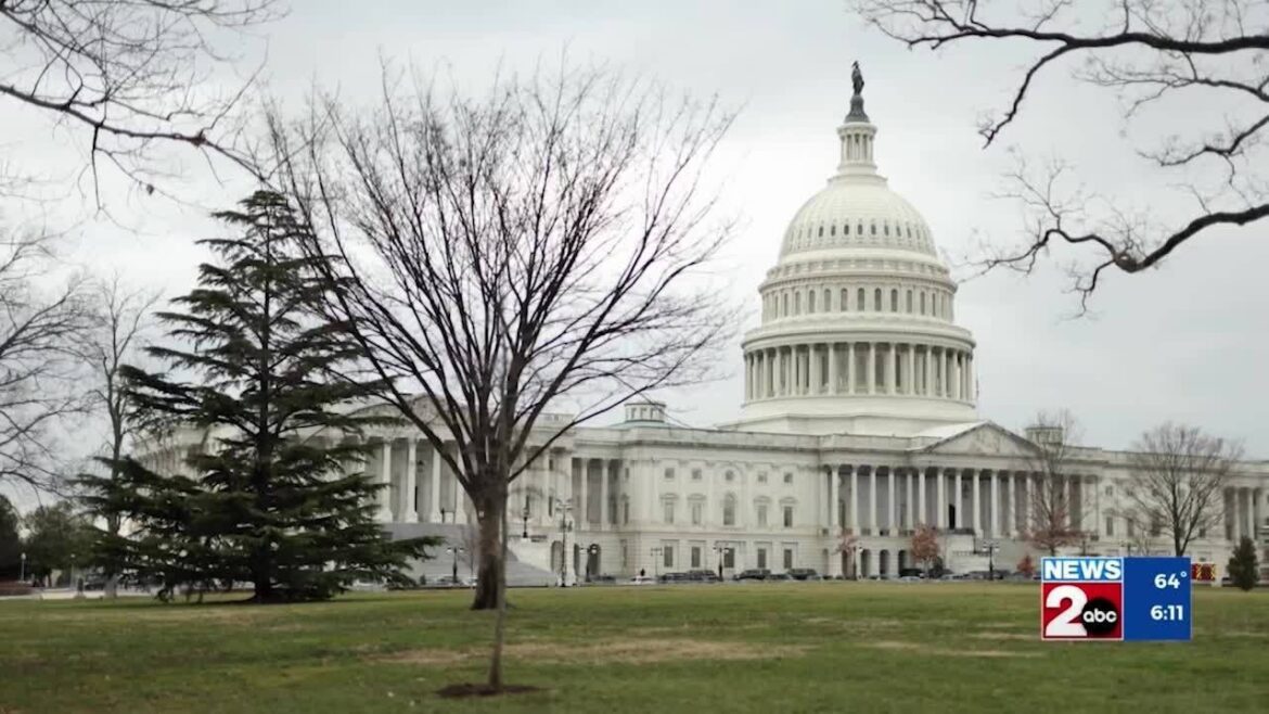 'alarming' Drop In Organ Donors After Mistake