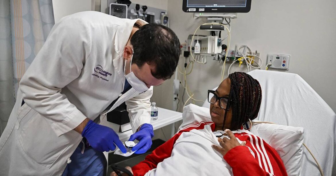 Pioneer Of Pig Kidneys Talks About Their First Clinical Trial