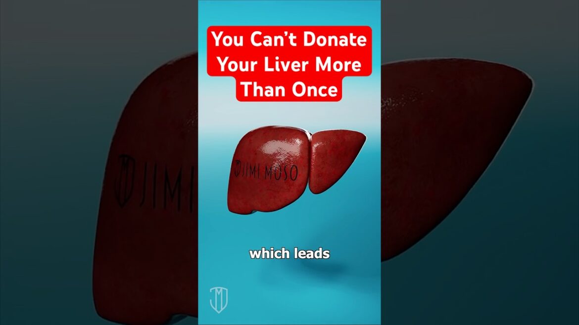 Why Can’t You Donate Your Liver More Than Once &