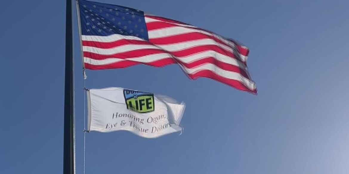 D2tdgcnmrjb4nafo4ylfiph3hm