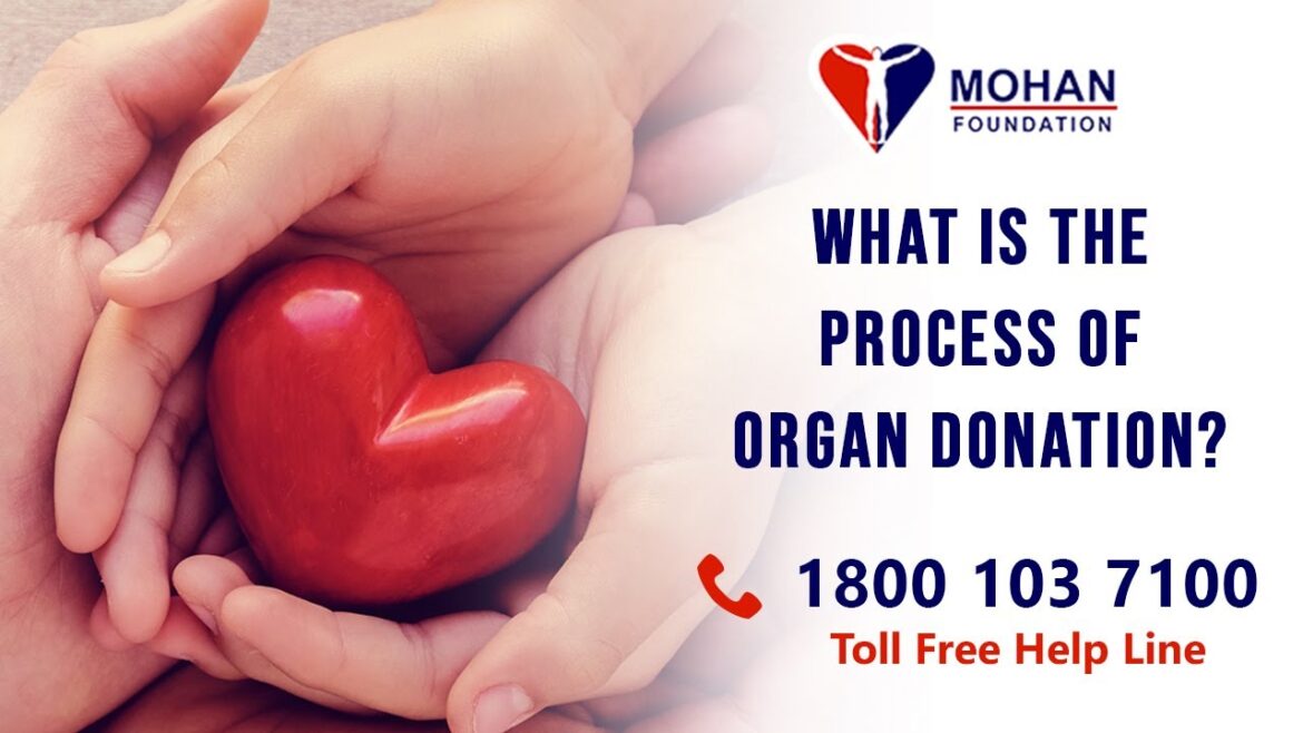 The Process Of Organ Donation