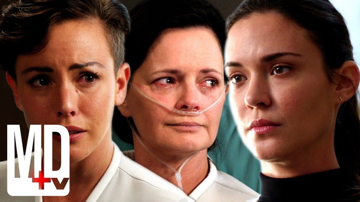 Organ donation chain falls apart | pure genius | md