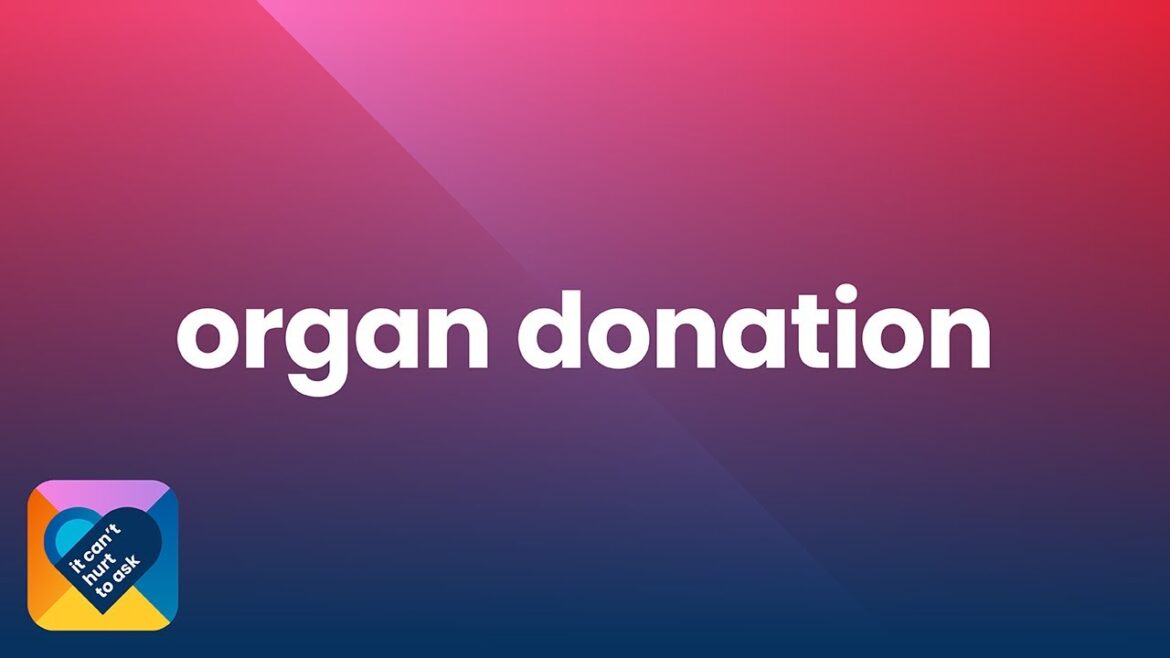 Ep 10 | organ donation | it can't hurt to