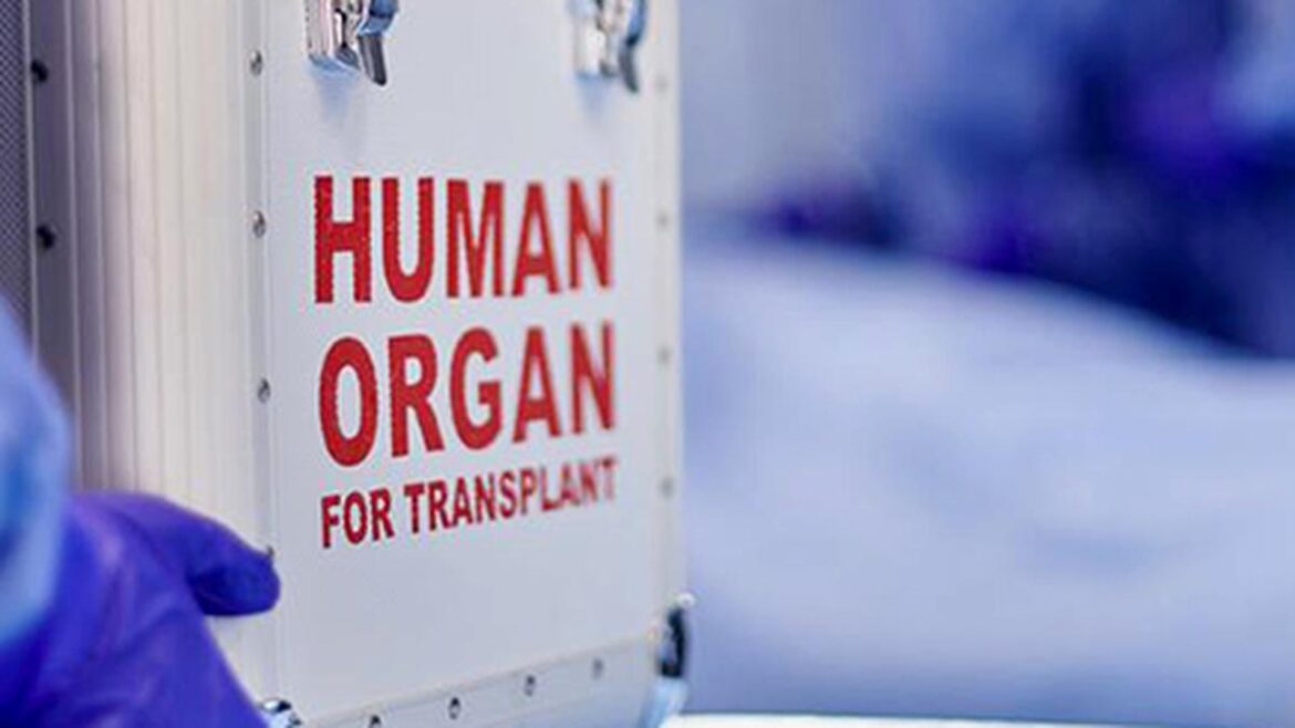 Img kidney 2 1 bqcthoh5