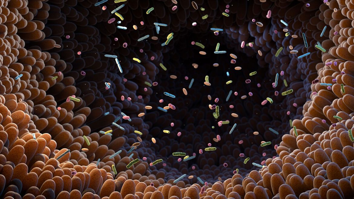 Microbiome illustration