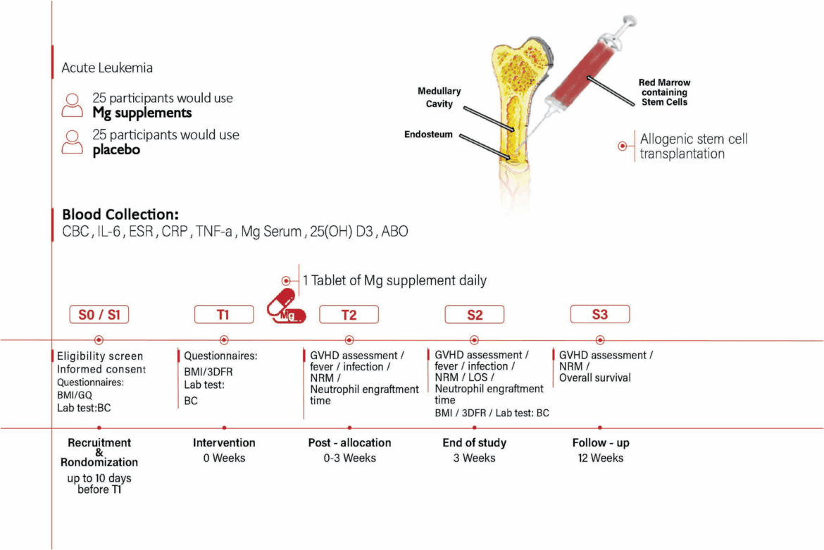 13063 2025 9201 fig1 html