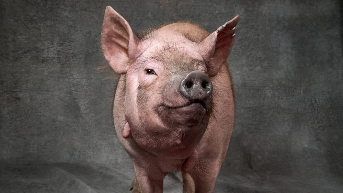 Nationalgeographic 2835809 16x9