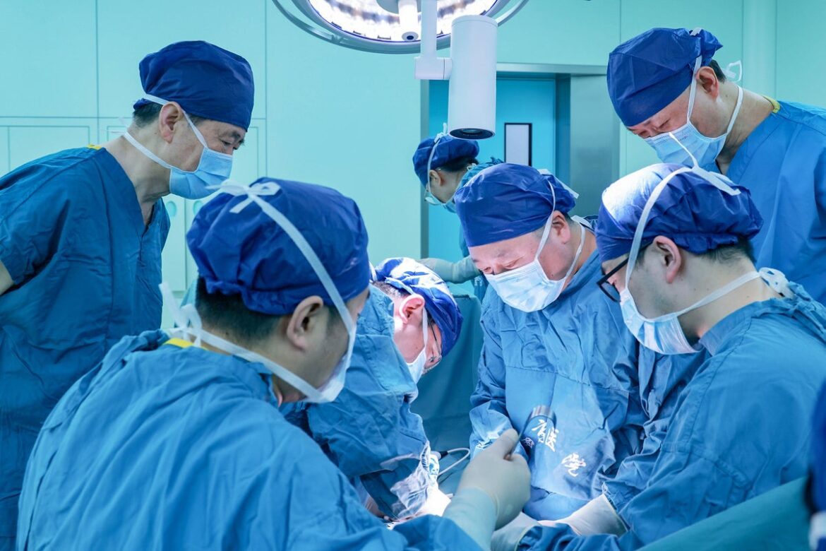Surgeons perform pig kidney xenotransplant