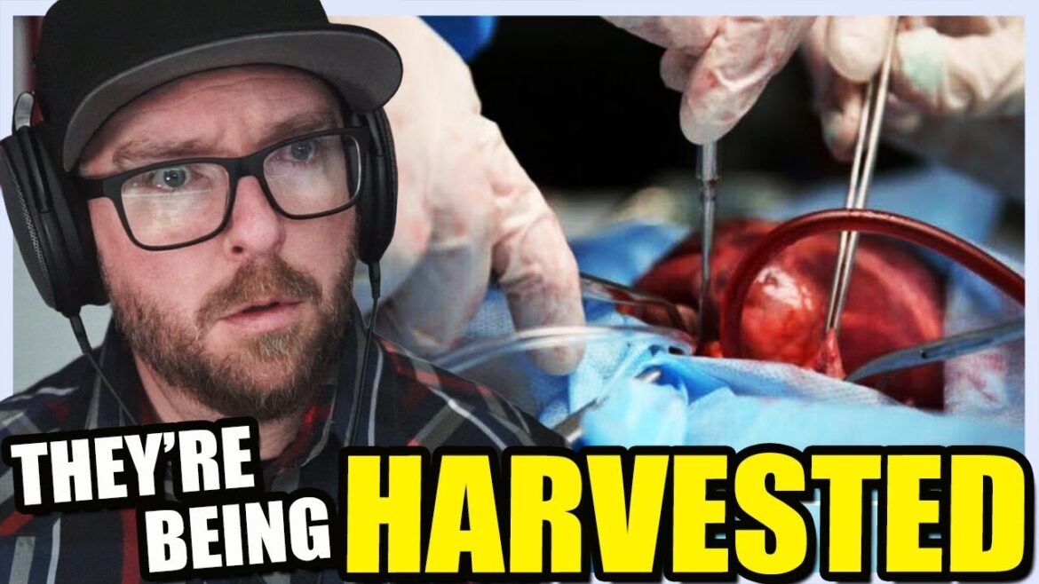Shocking: canada turns euthanasia program into organ harvesting scheme 