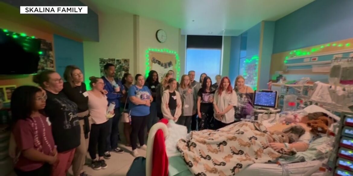 X5l3baljjrffhgqkycf5gaj7sm