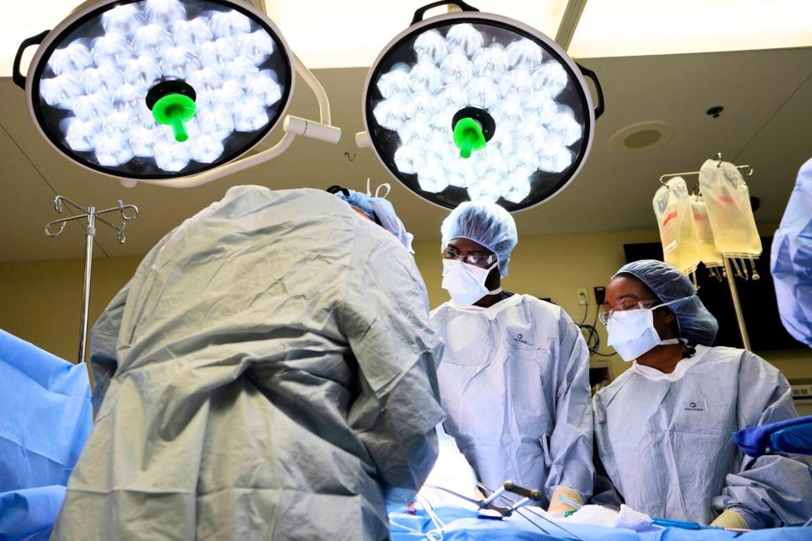 Attachment organ donation diversity ap