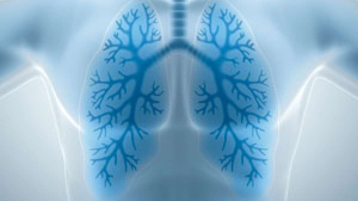 Lungs