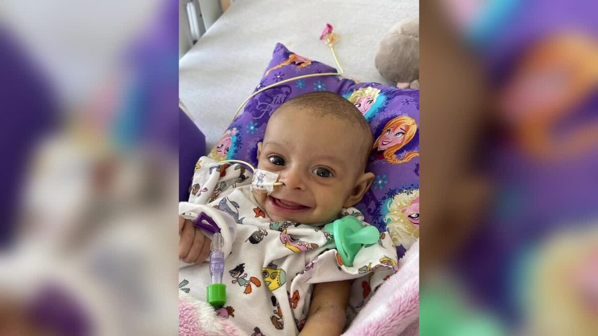 590 530p tz dallas 1 yr old liver 00.00.03.30