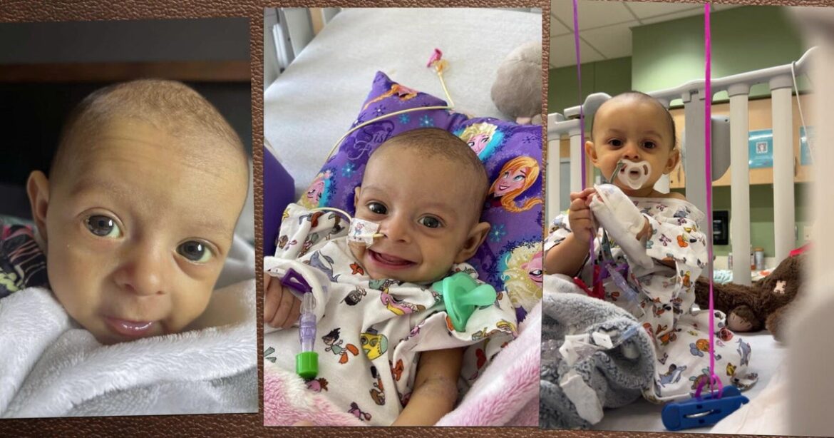 7 pkg split liver trans ktvtii8g