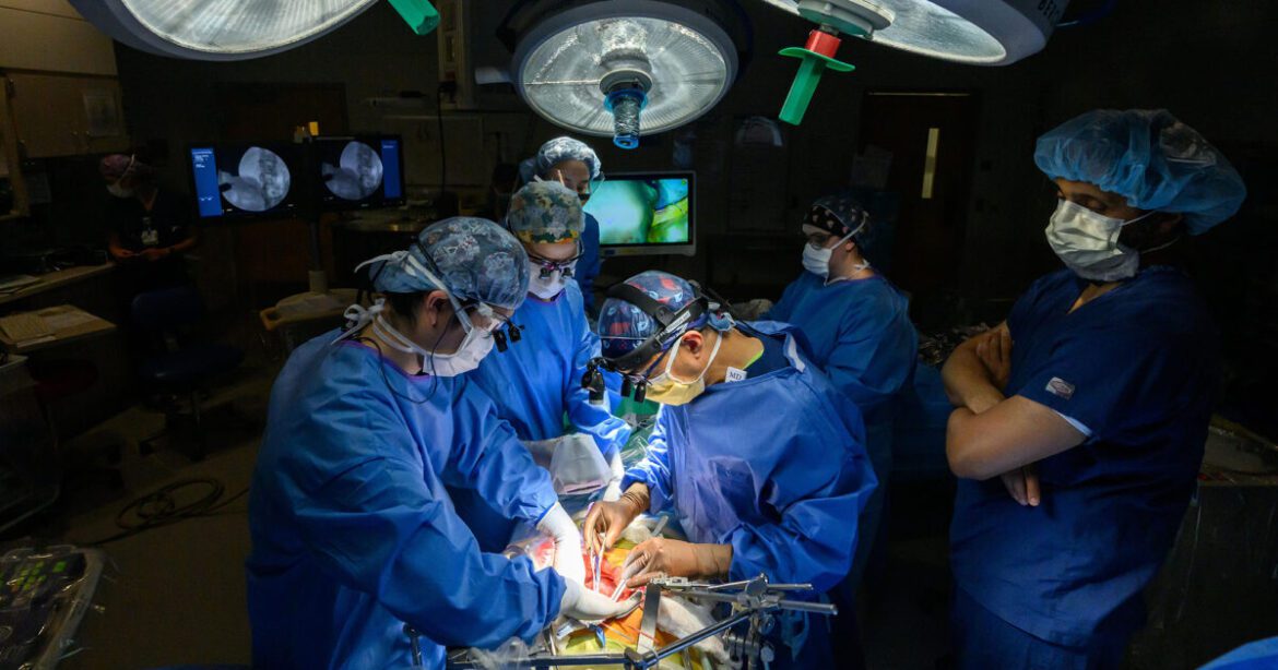 Fea 2025 07 01 urmc hernandez liver 1741 copy 1200x630 1