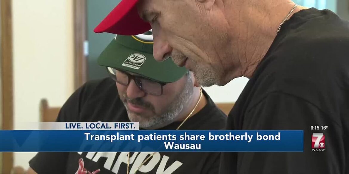 Https3a2f2fdo0bihdskp9dy.cloudfront.net2f12 13 20252ft 8e4d5b3ff9de465e944a9b5a4b413b88 name file 1280x720 2000 v3 1 