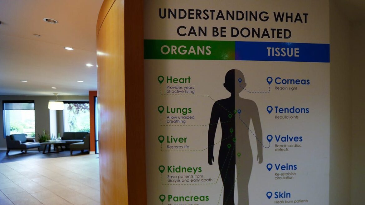 101968f2 cfc2 4a2b 99a3 df22330b3d1b indianadonornetwork kw 002