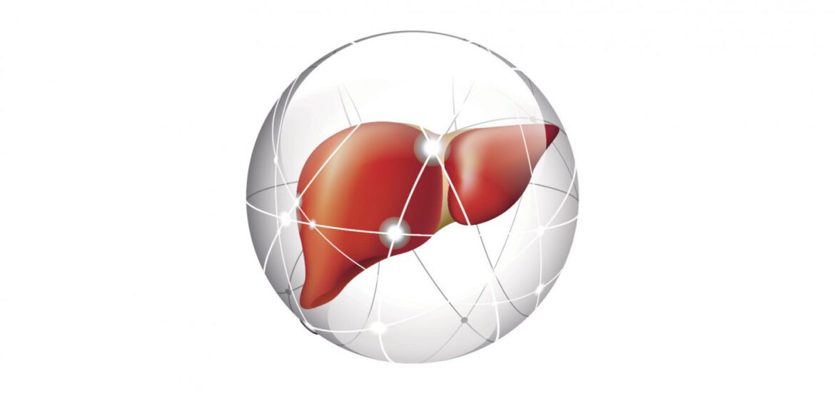 164369 liver circle rect.jpg b822f00c 2130 441e b315 678e20ec7c6b x2