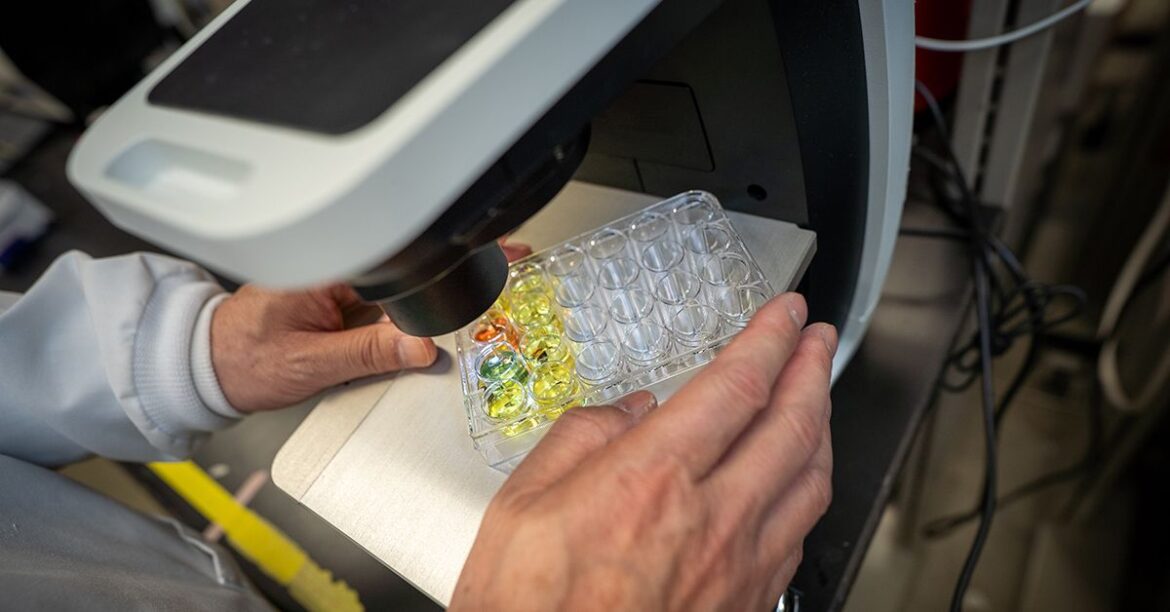 3d bioprinted liver arpa h project teaser