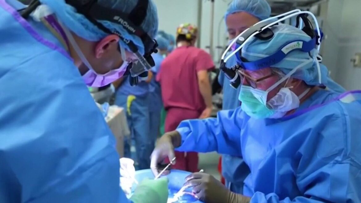 The importance of organ transplants