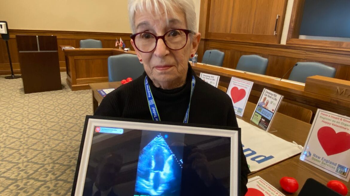 88667691007 organ donor awareness event taunton city hall feb 13 2026 3
