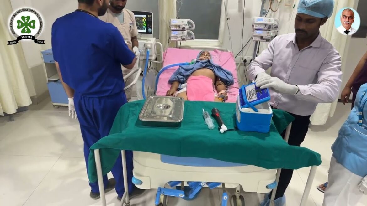 Brain dead|english version | apnea test | cold ischemia period