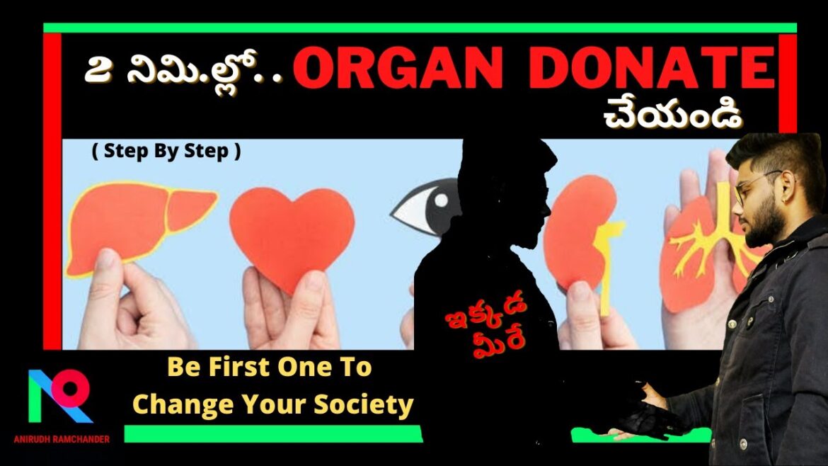 Organ donation and transplantation and registration process in india |in