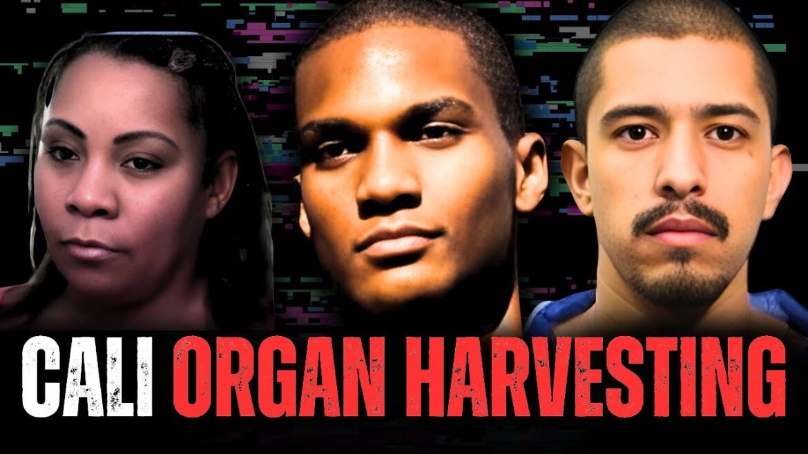 California organ harvesting is out of control