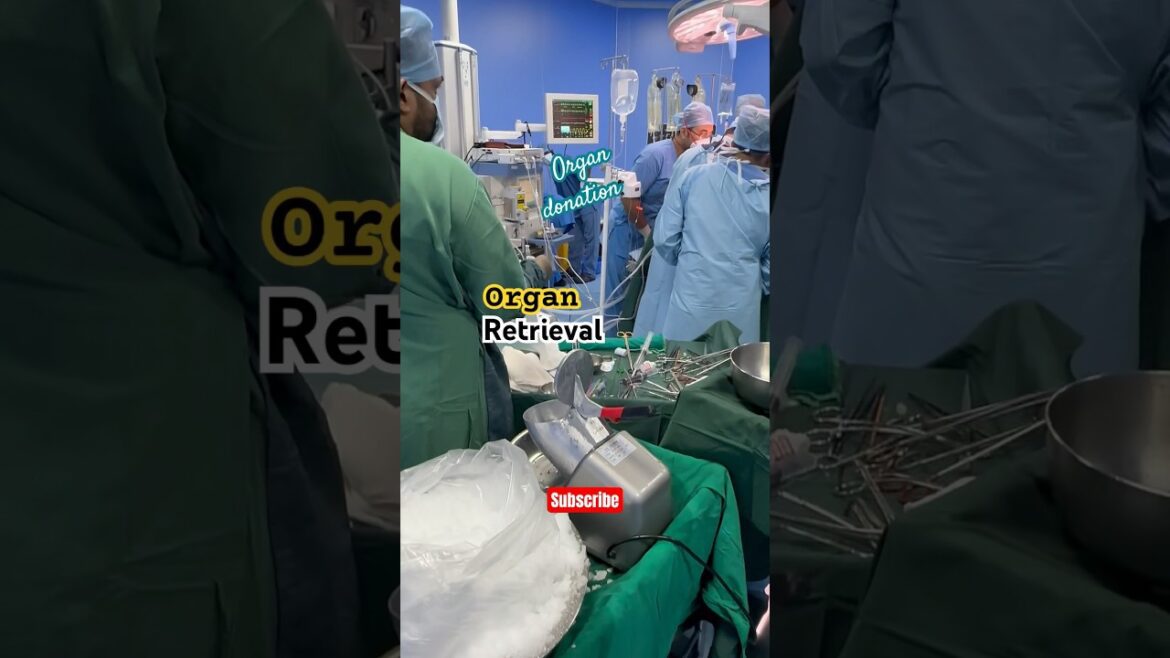 Donate organs i save life i organ transplant in india