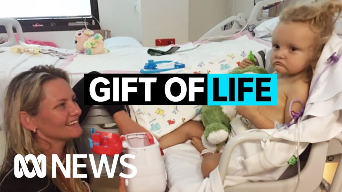 How organ donation is brining life and hope to two