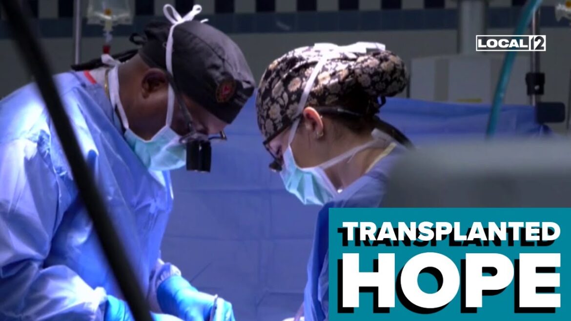 How organ donations save lives every day