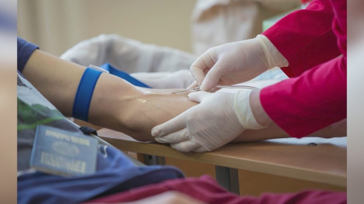 Share the love, save a life: the power of organ