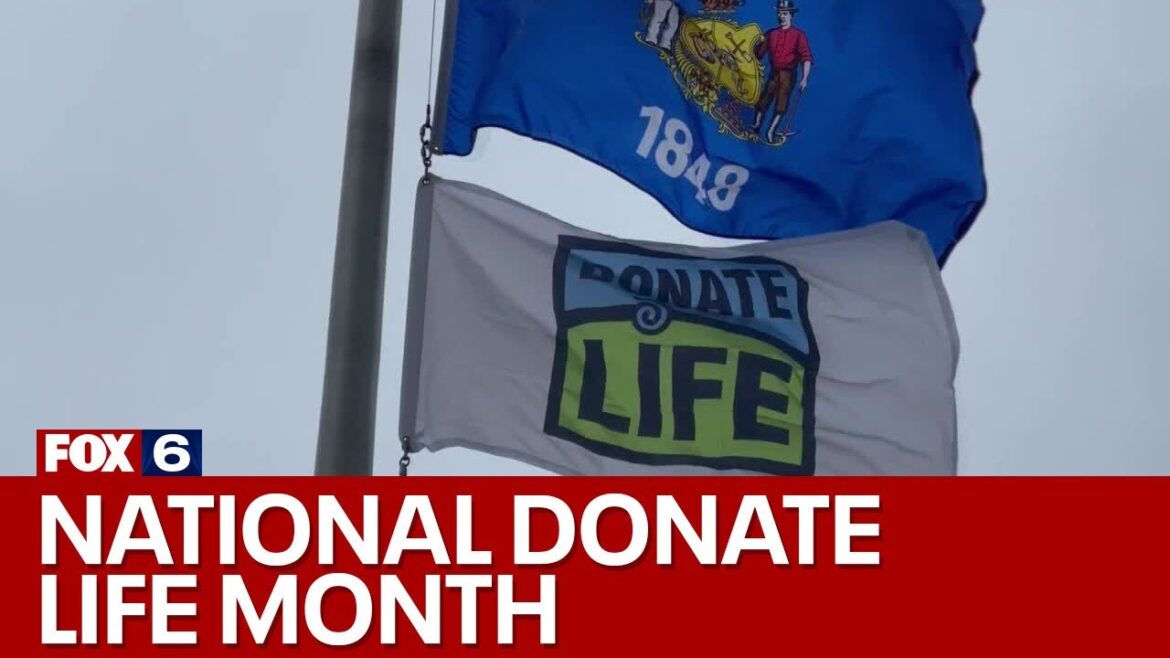 Young organ donor honored during national donate life month |