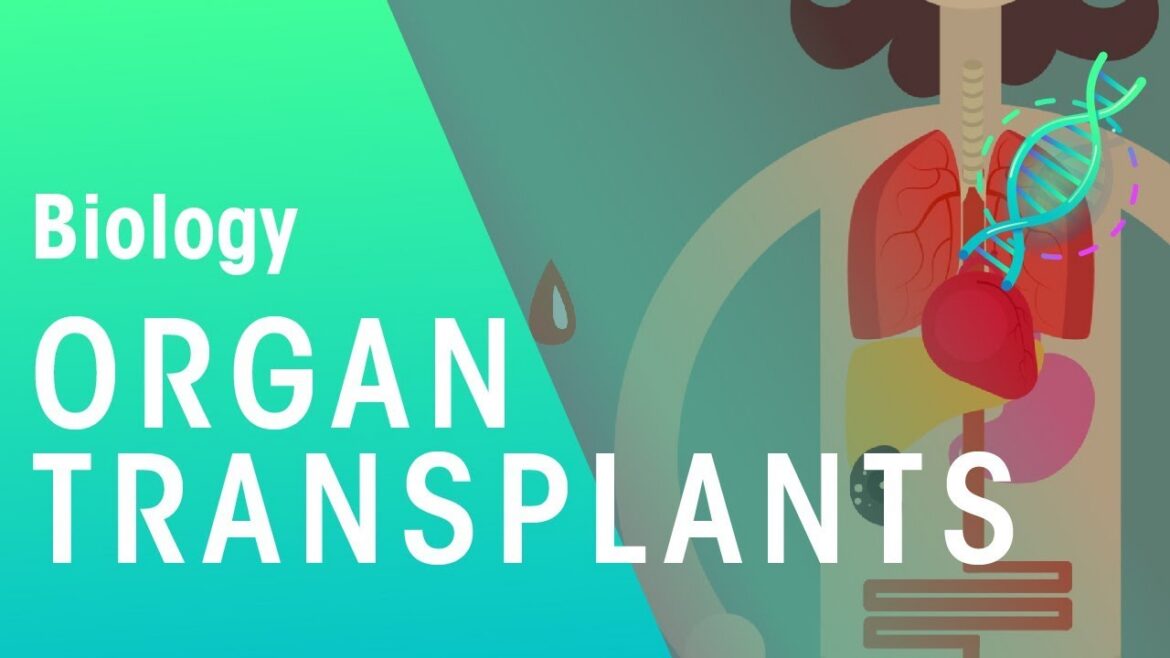 Organ transplants and ethics | health | biology | fuseschool