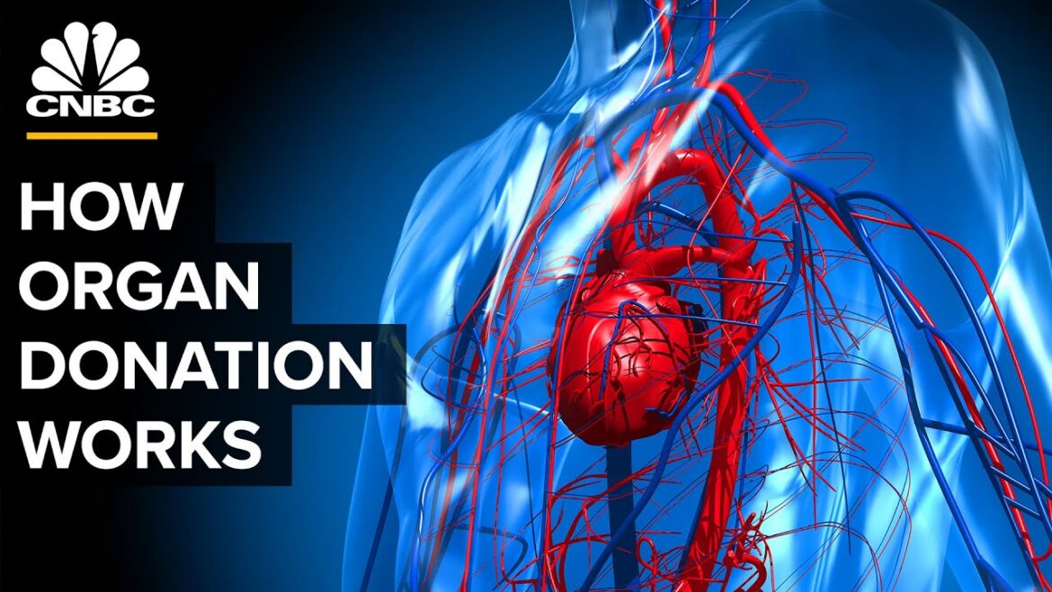 Why more than 100,000 americans are waiting for organs